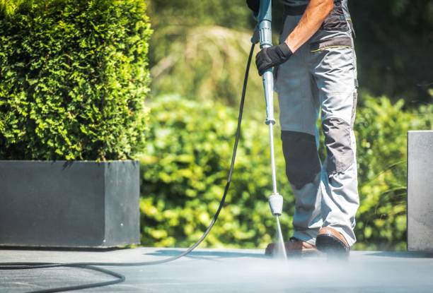 Best Roof Cleaning and Mildew Removal in Lovejoy, GA